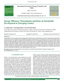 Energy efficiency: Determinants and roles on sustainable development in emerging country