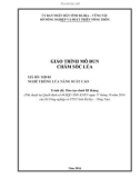 Giáo trình Chăm sóc lúa (Nghề: Trồng lúa năng suất cao) - Sở Nông nghiệp và PTNT tỉnh Bà Rịa – Vũng Tàu