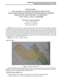 Sâm Lai Châu - Panax vietnamensis var. fuscidiscus K. Komatsu, S. Zhu & S. Q. Cai với các quần thể mọc hoang dại có giá trị kinh tế lớn nhất trong số các quần thể thực vật nói chung ở các tỉnh Lai Châu và Điện Biên