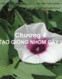 Bài giảng Chọn giống cây trồng ngắn ngày - Chương 4: Chọn tạo giống nhóm cây lấy củ