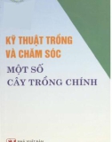 Tìm hiểu các kỹ thuật trồng và chăm sóc một số cây trồng chính: Phần 1