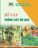 Tìm hiểu kỹ thuật trồng cây ăn quả: Phần 1