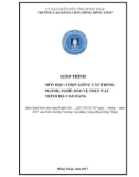 Giáo trình Chọn giống cây trồng (Nghề: Bảo vệ thực vật - Cao đẳng): Phần 1 - Trường Cao đẳng Cộng đồng Đồng Tháp