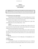 Giáo trình Vi sinh chuyên khoa (Nghề: Bảo vệ thực vật - Cao đẳng): Phần 2 - Trường Cao đẳng Cộng đồng Đồng Tháp