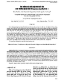 Ảnh hưởng của điều kiện nuôi cấy đến sinh trưởng hệ sợi nấm mỡ Agaricus blazei Murill Ab-1