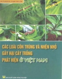 Phòng ngừa các loại nhện nhỏ và côn trùng gây hại cây trồng: Phần 1