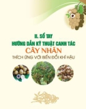 Sổ tay hướng dẫn kỹ thuật canh tác cây nhãn thích ứng với biến đổi khí hậu: Phần 2