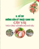 Sổ tay hướng dẫn kỹ thuật canh tác cây vải thích ứng với biến đổi khí hậu: Phần 2