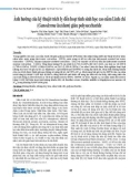 Ảnh hưởng của kỹ thuật trích ly đến hoạt tính sinh học cao nấm Linh chi (Ganoderma lucidum) giàu polysaccharide