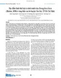 Đặc điểm hình thái loài cá nhói mình tròn Strongylura leiura (Bleeker, 1850) ở vùng biển ven bờ huyện Cần Giờ, TP. Hồ Chí Minh