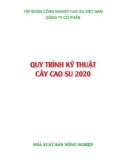 Kỹ thuật trồng cây cao su tại Việt Nam 2020: Phần 1