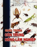 Giáo trình Côn trùng nông - lâm nghiệp (Dùng cho hệ đại học): Phần 1 - ĐH Thái Nguyên