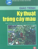 Giáo trình Kỹ thuật trồng cây màu: Phần 1