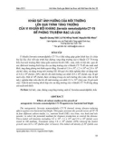 Khảo sát ảnh hưởng của môi trường lên quá trình tăng trưởng của vi khuẩn đối kháng Serratia nematodiphila CT-78 để phòng trị bệnh bạc lá lúa