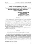 Nghiên cứu ảnh hưởng của chế phẩm Trichoderma - Streptomyces trong xử lý củ gừng giống đến sinh trưởng phát triển, năng suất và chất lượng củ