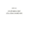 Giáo trình Sinh hoá học với cơ sở khoa học của công nghệ gen (Giáo trình cao học nông nghiệp): Phần 2