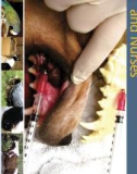 Ebook Pain management for veterinary technicians and nurses: Part 1