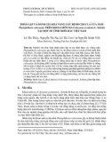 Phân lập và đánh giá khả năng gây bệnh cháy lá của nấm Phytophthora colocasiae trên khoai môn sọ (Colocasia esculenta L. schott) tại một số tỉnh miền Bắc Việt Nam