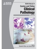 Ebook BSAVA manual of canine and feline clinical pathology: Part 1