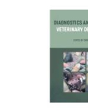 Ebook Diagnostics and therapy in veterinary dermatology: Part 1