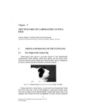 Ebook Animal welfare (Vol 2 - The welfare of laboratory animals): Part 2