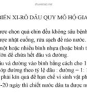 CHẾ BIẾN XI-RÔ DÂU QUY MÔ HỘ GIA ĐÌNH