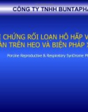 PRRS và cách kiểm soát (Công ty TNHH Buntaphan)