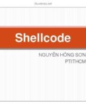 Bài giảng An toàn Hệ điều hành: Shellcode - Nguyễn Hồng Sơn