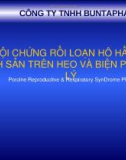 HỘI CHỨNG RỐI LOẠN HÔ HẤP VÀ SINH SẢN TRÊN HEO VÀ BIỆN PHÁP XỬ LÝ