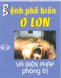 Tập 2 - Biện pháp phòng trị bệnh phổ biến lợn