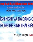 Tính thích nghi và đa dạng của cá trong hệ sinh thái biển