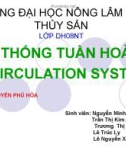 HỆ THỐNG TUẦN HOÀN - Nguyễn Minh Hiếu