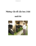 Những vấn đề cần lưu ý khi nuôi bò