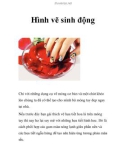 Hình vẽ sinh động