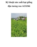 Kỹ thuật sản xuất hạt giống đậu tương rau AGS346