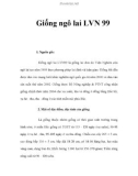 Giống ngô lai LVN 99