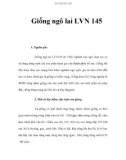 Giống ngô lai LVN 145