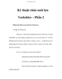 Kỹ thuật chăn nuôi lợn Yorkshire – Phần 2