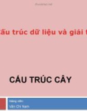 Bài giảng Cấu trúc dữ liệu và giải thuật: Cấu trúc cây