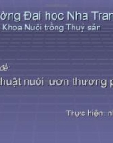 KỸ THUẬT NUÔI THỰC NGHIỆM LƯƠN