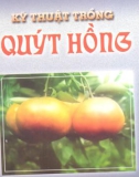 Kỹ thuật trồng quýt hồng part 1