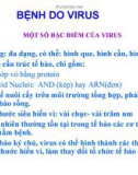 BỆNH DO VIRUS Ở CÁ 1