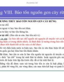 Bài giảng giống cây rừng : Bảo tồn nguồn gen cây rừng part 2