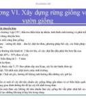 Bài giảng giống cây rừng : Xây dựng rừng giống và vườn giống part 2