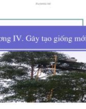 Bài giảng giống cây rừng : Gây tạo giống mới part 1