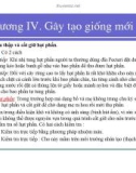 Bài giảng giống cây rừng : Gây tạo giống mới part 3