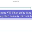 Bài giảng giống cây rừng : Nhân giống bằng phương pháp nuôi cấy mô và tế bào part 1