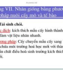 Bài giảng giống cây rừng : Nhân giống bằng phương pháp nuôi cấy mô và tế bào part 2