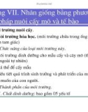 Bài giảng giống cây rừng : Nhân giống bằng phương pháp nuôi cấy mô và tế bào part 3