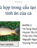 Sự phù hợp trong cấu tạo và tập tính ăn của cá